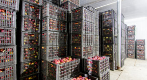 Rosyjscy urzędnicy skontrolują przechowalnie jabłek w Serbii i Białorusi