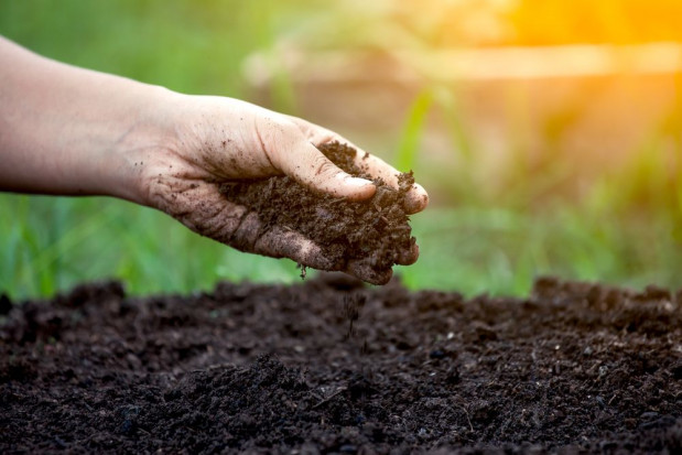 fot. shutterstock.com Monitoring gleby i roślin przy wykorzystaniu Truesoil Multiscan