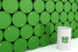 Copa i Cogeca domagają się nałożenia ceł na import biodiesla z Argentyny