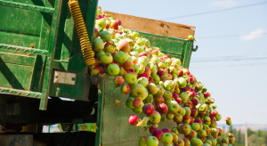 MRiRW: Skup 0,5 mln ton jabłek nie ma charakteru mechanizmu administrowanego przez rząd