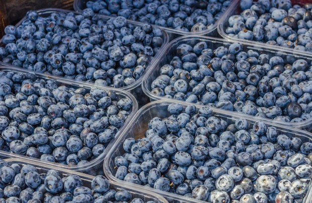 fot. shutterstock Na koniec sezonu ceny borówki amerykańskiej dochodzą do 52 zł/kg