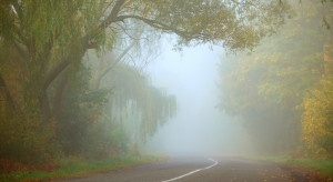 Pogoda na 10 i 11 października: Będzie ciepło ale o poranku przywitają nas mgły