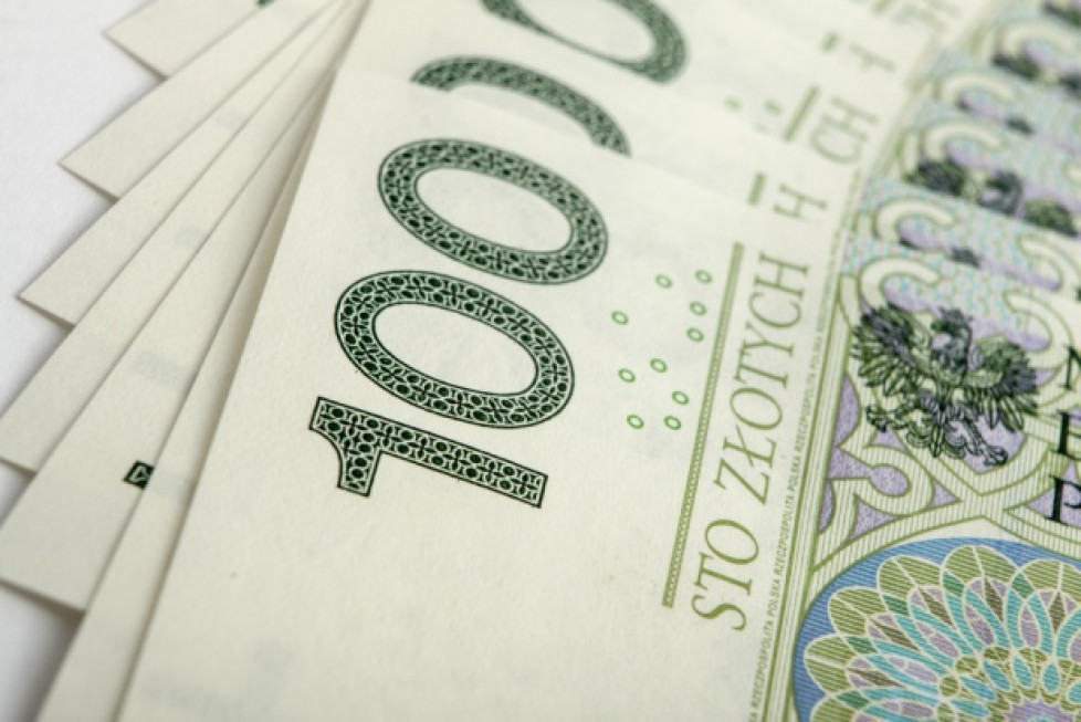 Wysokość Unijnych Dopłat Bezpośrednich Zależy Od Powierzchni Gospodarstw Ardanowski: Od wtorku rozpoczynamy wypłaty zaliczek na poczet dopłat