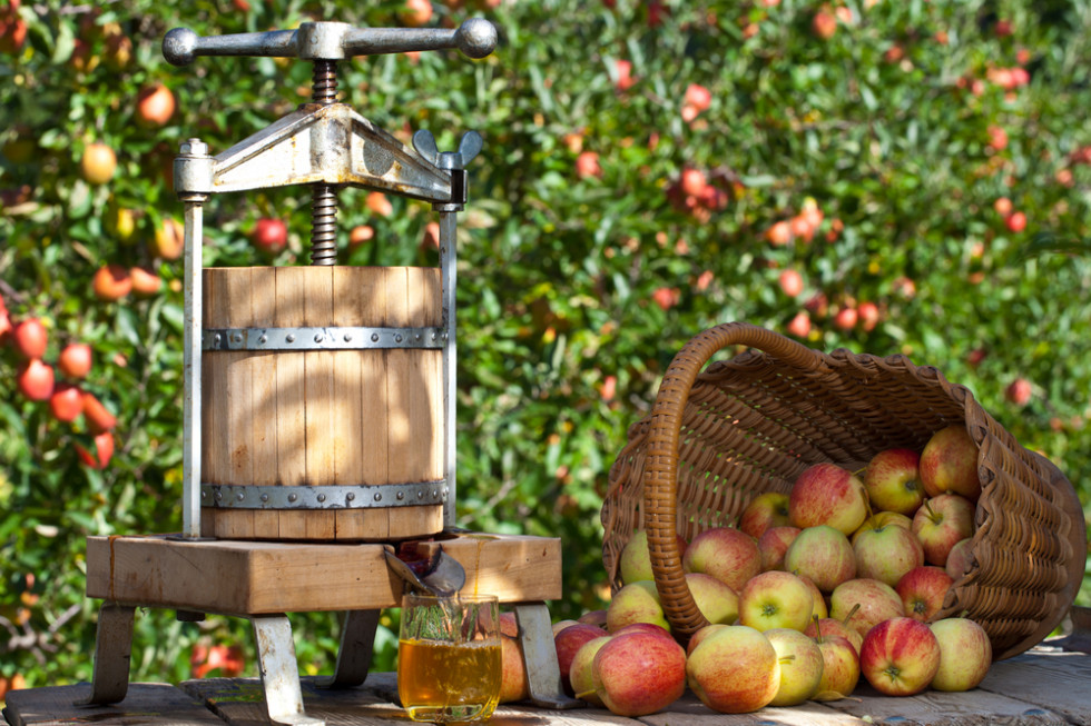 Sok z jabłek z bieszczadzkich sadów bije rekordy cen