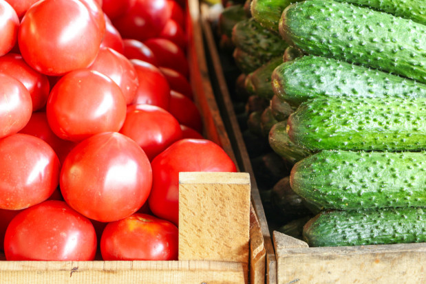 fot. shutterstock Rosja: Produkcja warzyw szklarniowych może sięgnąć 1 mln ton