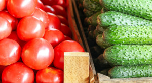 Rosja: Produkcja warzyw szklarniowych może sięgnąć 1 mln ton