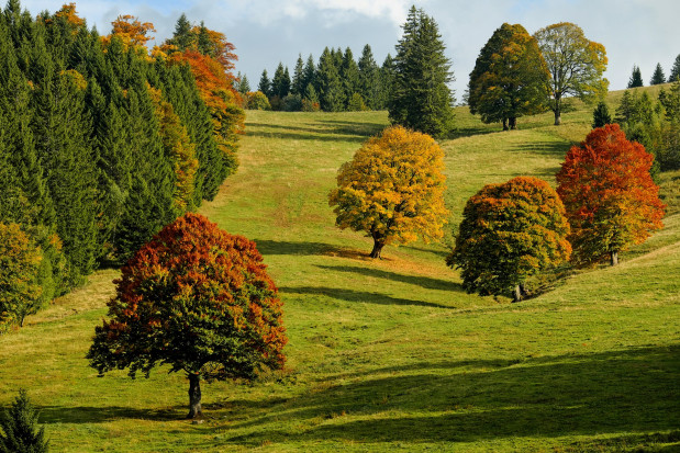 fot. shutterstock IMGW-PIB: Pierwsze dni listopada będą bardzo ciepłe