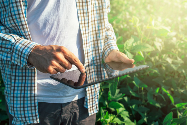 fot. shutterstock Grecki rząd ma plan na cyfryzację sektora rolnego