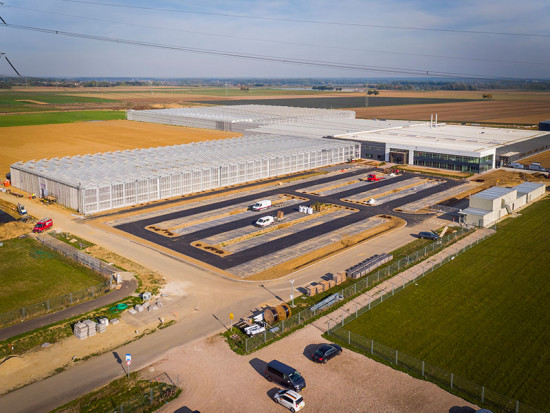 Firma BASF otworzyła nowe centrum hodowli ogórków w swojej siedzibie w Nunhem/ fot. mat. prasowe Firma BASF otworzyła nowe centrum hodowli ogórków w Nunhem