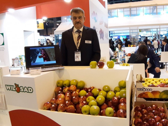 Szymon Koc, Prezesem organizacji producentów Wil- Sad, fot.materiały własne Szymon Koc, Wil-Sad: Cały świat chce kupować 'Galę'. Priorytetem jest zmiana nasadzeń