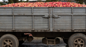 GITD: Kary dla przeładowanych ciężarówek przewożących jabłka