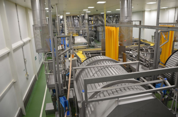 Zakład Frito Lay w Grodzisku Mazowieckim, fot. M. Tyszka
PepsiCo inwestuje w nowe odmiany ziemniaków, uprawę i przechowalnictwo (zdjęcia)