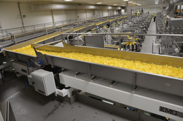 Zakład Frito Lay w Grodzisku Mazowieckim, fot. M. Tyszka
PepsiCo inwestuje w nowe odmiany ziemniaków, uprawę i przechowalnictwo (zdjęcia)