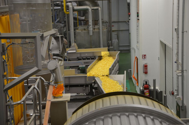 Zakład Frito Lay w Grodzisku Mazowieckim, fot. M. Tyszka
PepsiCo inwestuje w nowe odmiany ziemniaków, uprawę i przechowalnictwo (zdjęcia)