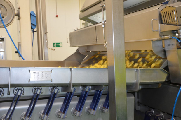 Zakład Frito Lay w Grodzisku Mazowieckim, fot. M. Tyszka
PepsiCo inwestuje w nowe odmiany ziemniaków, uprawę i przechowalnictwo (zdjęcia)