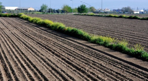 FAO ostrzega przed degradacją gleby