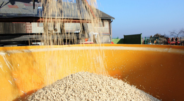 fot. za farmer.pl Regularne wapnowanie zapewni wystarczającą ilość wapnia dla roślin?