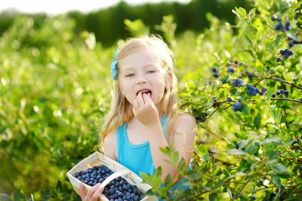 fot. shutterstock IŻŻ: Warzywa i owoce to istotny element diety dzieci