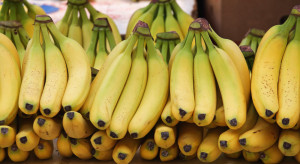 Hiszpania: Banan i ziemniak najchętniej importowanymi produktami