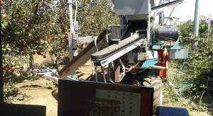 Robot izraelskich inżynierów potrafi sam zrywać jabłka - bez pomocy ludzi