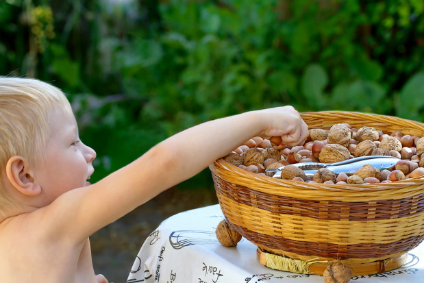 fot. shutterstock.com Badacze: Dzieci powinny spożywać produkty zawierające orzechy od wczesnych lat