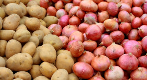 Wysokie ceny ziemniaków i cebuli na Węgrzech