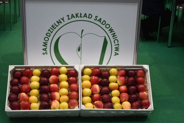 fot. sadyogrody W Kielcach trwają targi MTAS FruitPRO i HORTI TECH (galeria zdjęć)