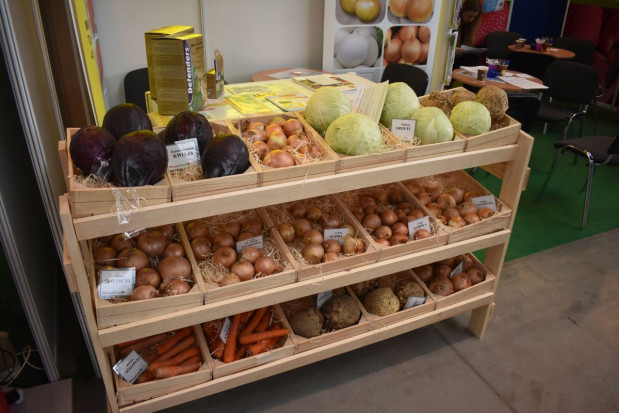 fot. sadyogrody.pl W Kielcach trwają targi MTAS FruitPRO i HORTI TECH (galeria zdjęć)
