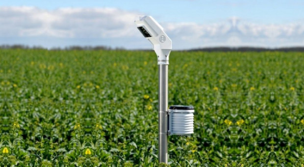 fot. materiały prasowe Bosch Field Sensor - monitoruje fenologiczne cechy rośliny w połączeniu z parametrami gleby i klimatu
