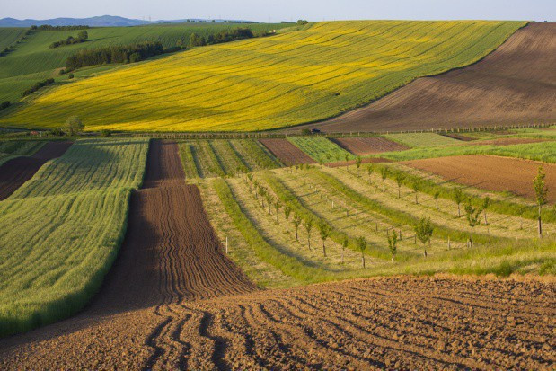 fot. shutterstock.com Śląskie: Umowy na 28 mln zł ws. scalania gruntów w regionie