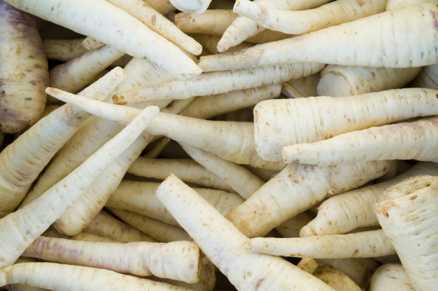 fot. shutterstock.com Polska jest znaczącym w Europie eksporterem pietruszki