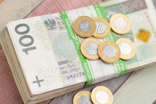 fot. shutterstock.com Senat poparł ustawę wprowadzającą instrumenty finansowe w PROW