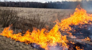 Śląskie: Liczne pożary traw – strażacy walczą z podpaleniami
