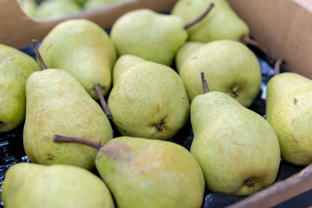 fot. shutterstock Stabilne ceny gruszek w hurcie. Wahają się między 2,80 – 3,60 zł/kg