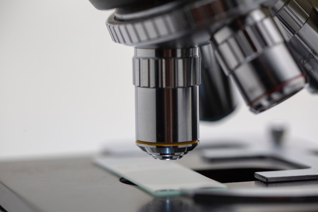 fot. unsplash.com Grupa J.S. Hamilton przejmuje laboratorium UO - Technologia ze Słomczyna