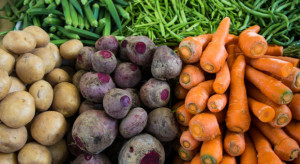 Analiza rynku warzyw - raport ekspertów IERiGŻ