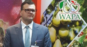 Dominik Woźniak z zarządu Rajpolu został wiceprezesem WAPA