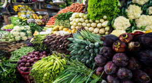 Credit Agricole: II poł. 2019 r. przyniesie wyraźny spadek cen warzyw 