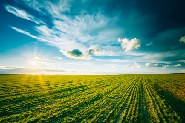 fot. shutterstock Przed nami ciepły tydzień z temperaturami przekraczającymi 15 st.C