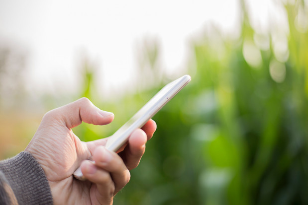 fot. shutterstock Vademecum środków ochrony roślin – pojawiła się wersja na smartfon