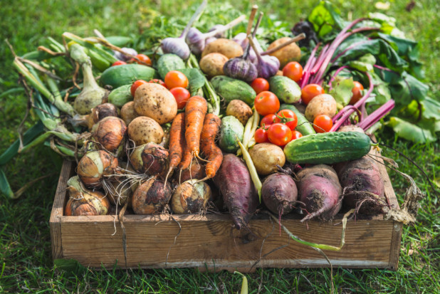 fot. shutterstock Fundacja Carrefour pomoże rolnikom przekształcić się na produkcję ekologiczną