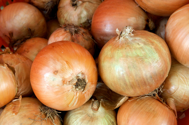fot. shutterstock Cebula droga jak pomarańcze – jej ceny dalej pną się w górę
