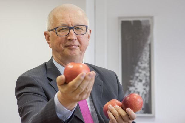Marek Marzec, właściciel i zarządzający firmą Ewa-Bis/ fot. PTWP Marek Marzec, Ewa-Bis: Problem z eksportem polskich jabłek wynika z ich jakości