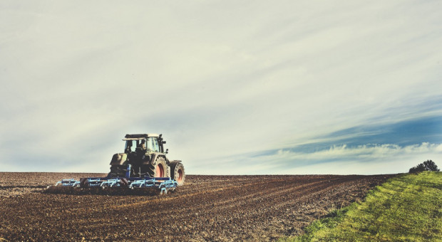 fot. pixabay.com GUS na temat użytkowania gruntów i powierzchni zasiewów w 2018 r.