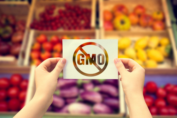 fot. shutterstock.com 8 kwietnia obchodzony jest Międzynarodowy Dzień Opozycji Przeciw GMO
