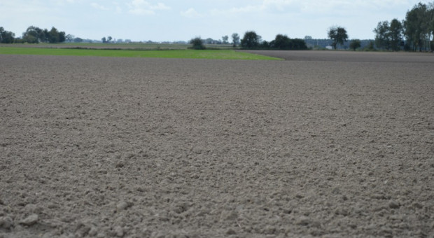 Fot. za farmer (Katarzyna Szulc) Ciech Sarzyna: nadchodzi kluczowy okres ochrony zasiewów przed chwastami