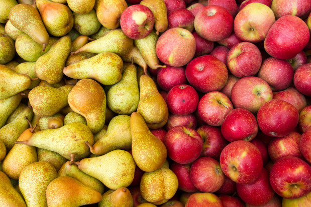 Rosja wprowadza czasowe ograniczenie na wwóz jabłek i gruszek z Białorusi