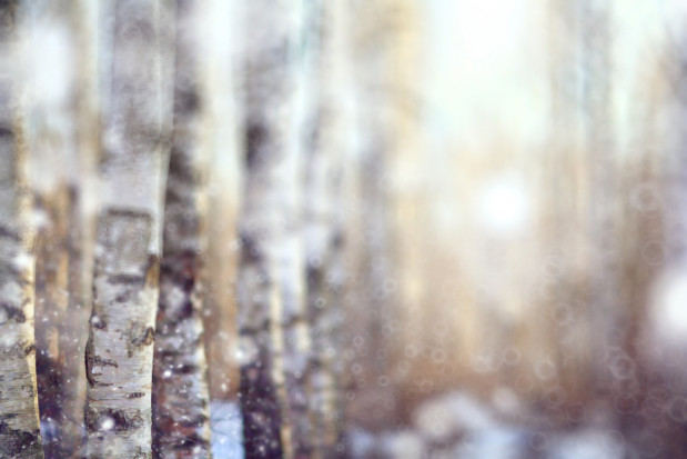 fot. shutterstock.com Prognoza pogody na najbliższe dni: chłód, opady deszczu ze śniegiem