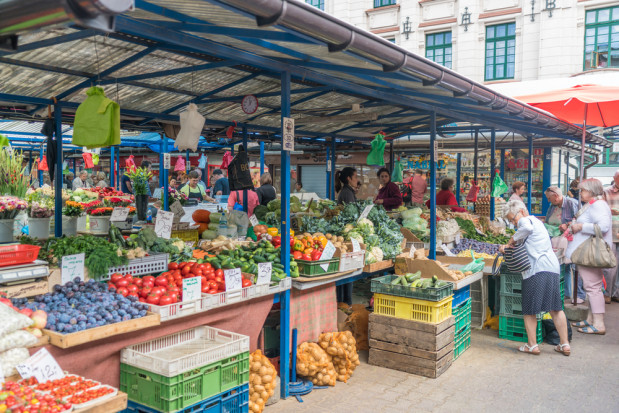 fot. shutterstock Bronisze: Wysoka podaż warzyw spod osłon wpływa na spadek cen