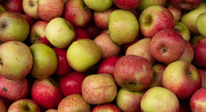 GUS: W 2017 r. Polska zanotowała dodatnie saldo w handlu jabłkami